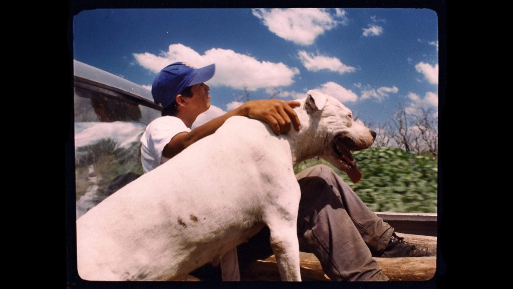 25 minutes 225 megabytes driver download extra quality